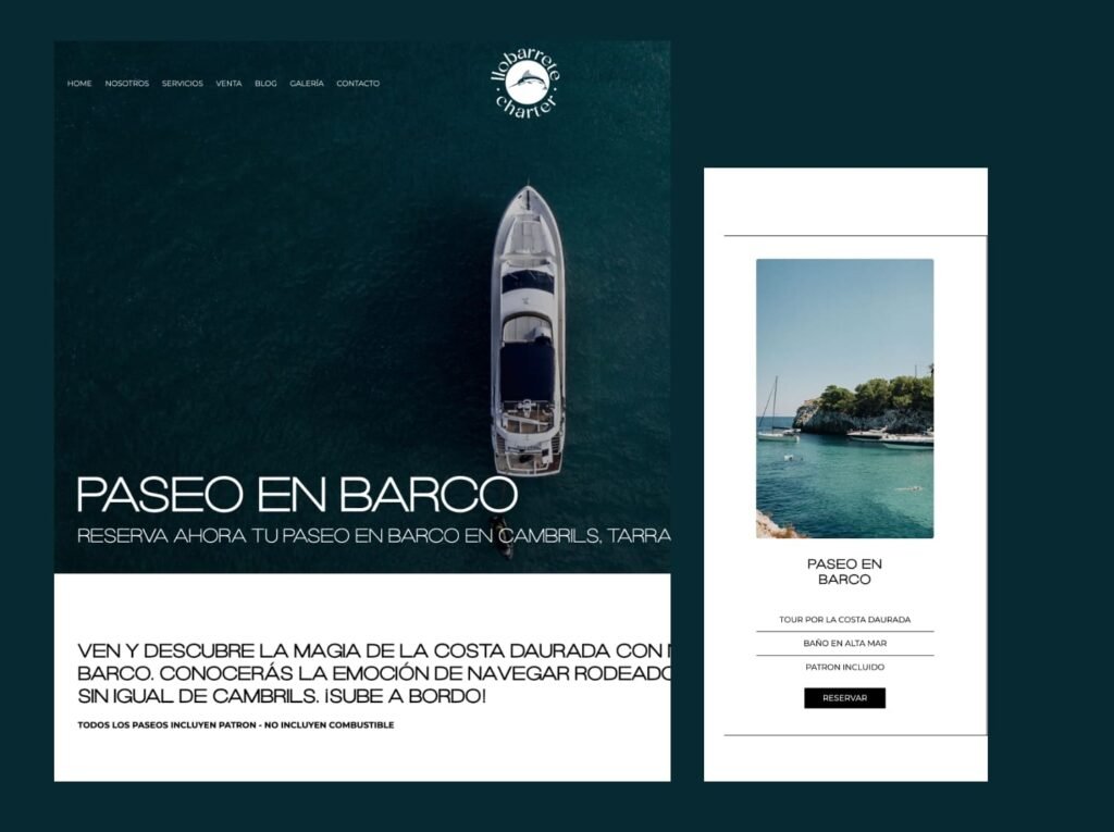 Diseñador de paginas web